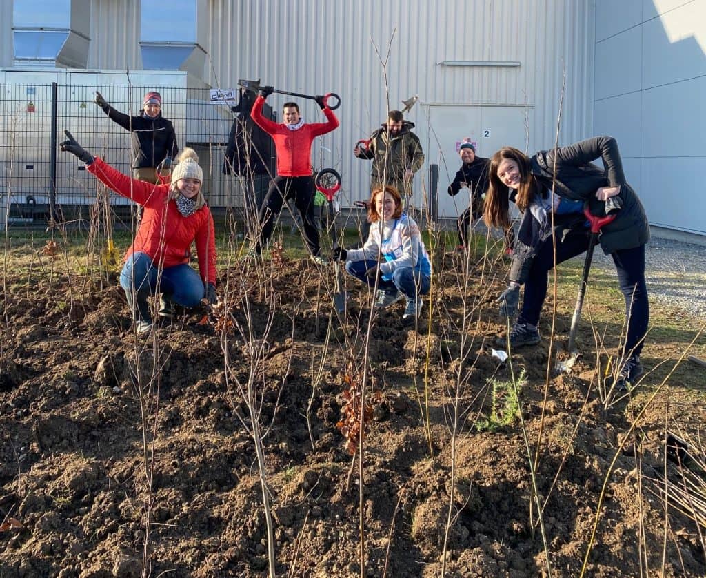 Des personnes posent devant une jeune plantation d'abre